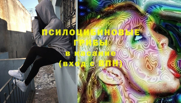 эйфоретик Михайлов