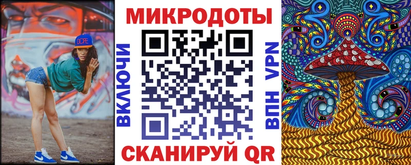 Галлюциногенные грибы Psilocybine cubensis  Ачхой-Мартан 